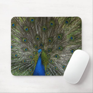 Kauai Peacock Mouse Mat
