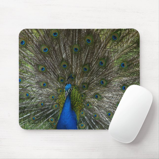 Kauai Peacock Mouse Mat (With Mouse)