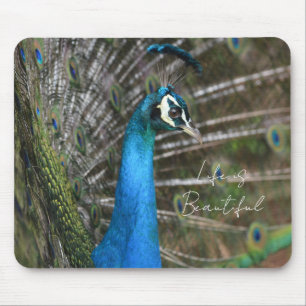Kauai Peacock  Mouse Mat