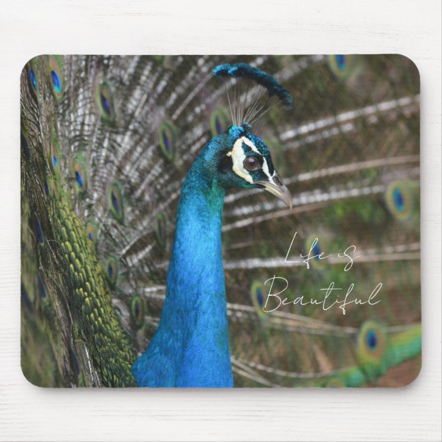Kauai Peacock  Mouse Mat (Front)