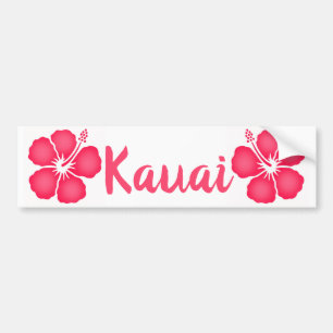 Kauai Pink Hibiscus Bumper Sticker