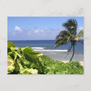 Kauai Postcard