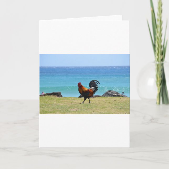 Kauai rooster card (Front)