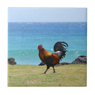 Kauai rooster tile