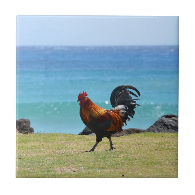 Kauai rooster tile (Front)