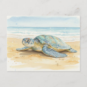 Kauai  Sea Turtles Resting at the Beach Postcard