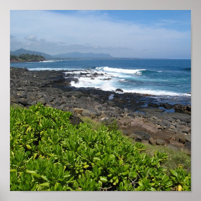 Kauai succulents 2 poster (Front)