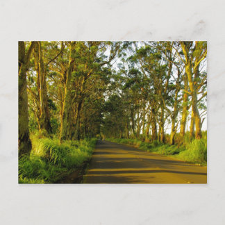 Kauai - The road to Poipu Postcard