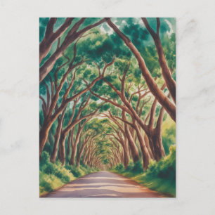Kauai Tree Tunnel watercolor Postcard