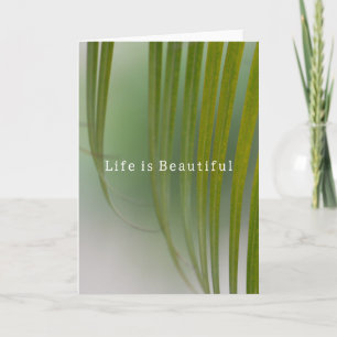 Kauai Tropical Green Leaves (photo taken by me) Card