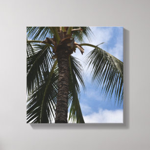 Kauai Tropical Palm Tree Canvas Print