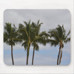 Kauai Tropical Palm Trees (photo taken by me) Mouse Mat