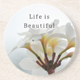 Kauai Tropical White Plumeria (photo taken by me) Coaster