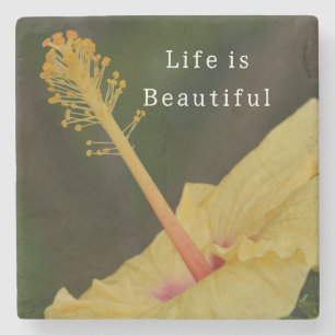 Kauai Yellow Hibiscus Flower (photo taken by me) Stone Coaster