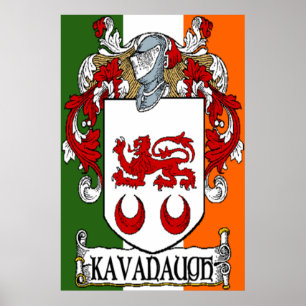 Kavanaugh Coat of Arms Irish Flag Print
