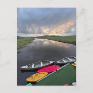 Kaw-Roura Marshland Nature Reserve - French Guyana Postcard