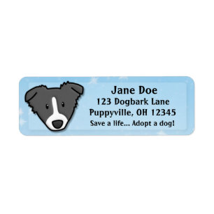 Kawaii Border Collie