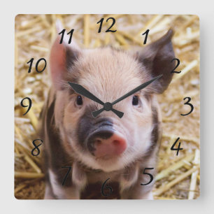 Kawaii cute adorable farm baby piglet pig animal square wall clock
