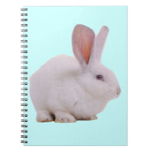 Kawaii Cute Bunny Rabbit Notebook
