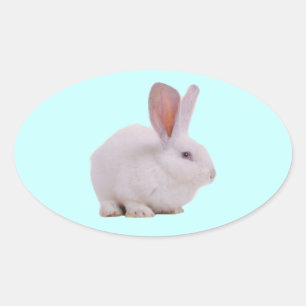 Kawaii Cute Bunny Rabbit Oval Sticker