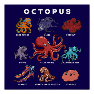 Kawaii Octopus of the Worlds Poster