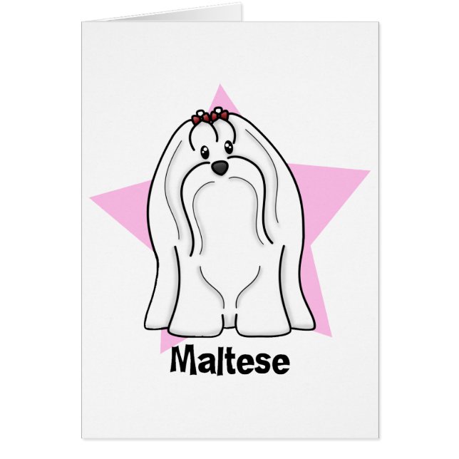 Kawaii Star Maltese (Front)