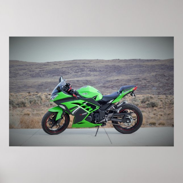 Kawasaki Ninja 300 Poster (Front)
