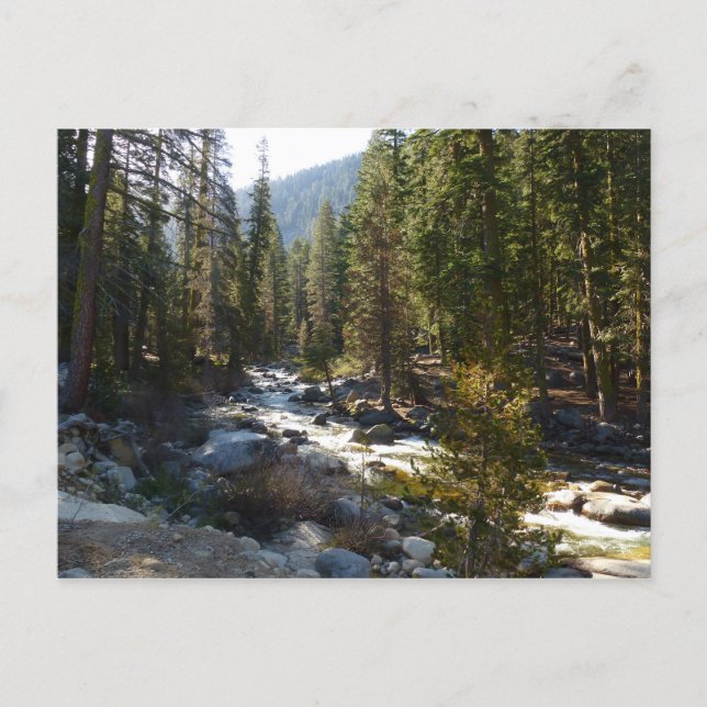 Kaweah River in Sequoia National Park Postcard (Front)