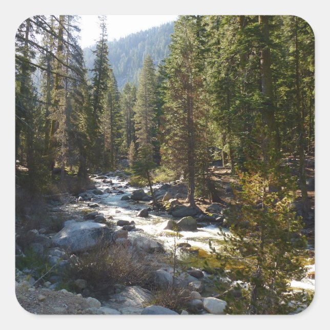 Kaweah River in Sequoia National Park Square Sticker (Front)