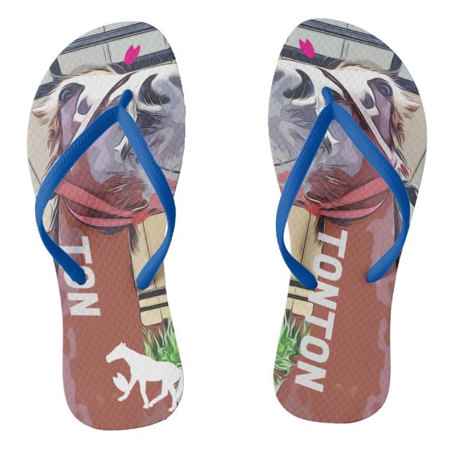 Kay Mei Farm Tontoro-chan "Party Tontoro-chan" Flip Flops (Footbed)