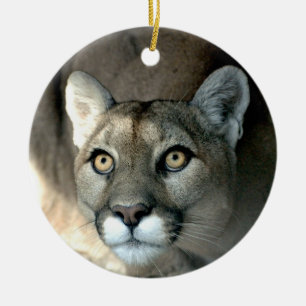 Kaya Ornament 2012
