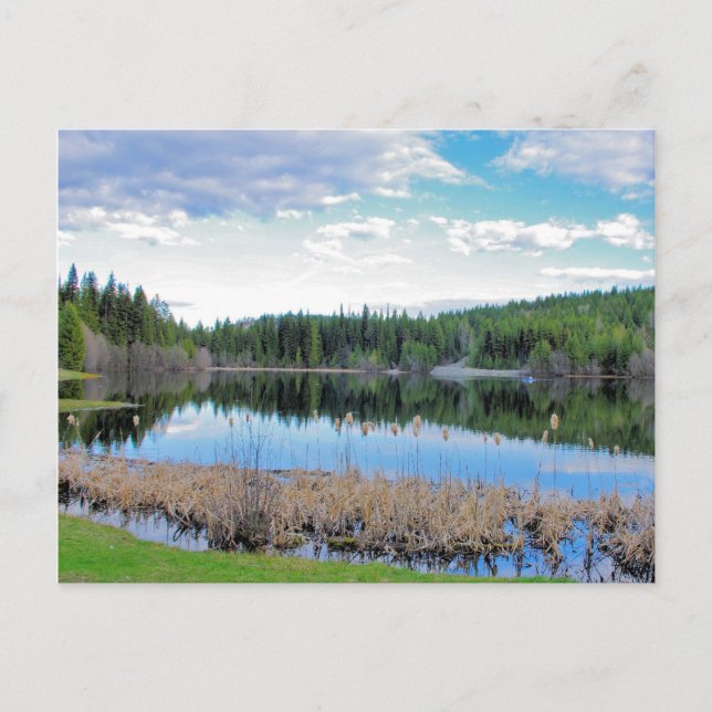 Kayaking Marshall Lake - Boundary B.C. Postcard (Front)
