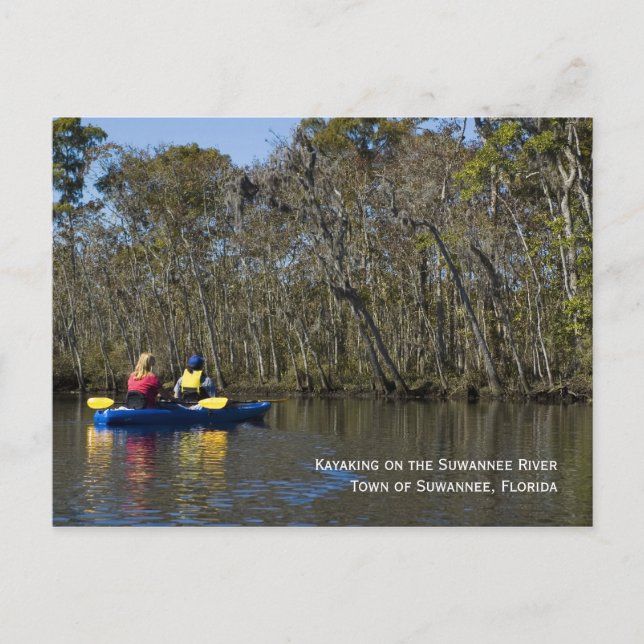 Kayaking the Suwannee River Postcard (Front)
