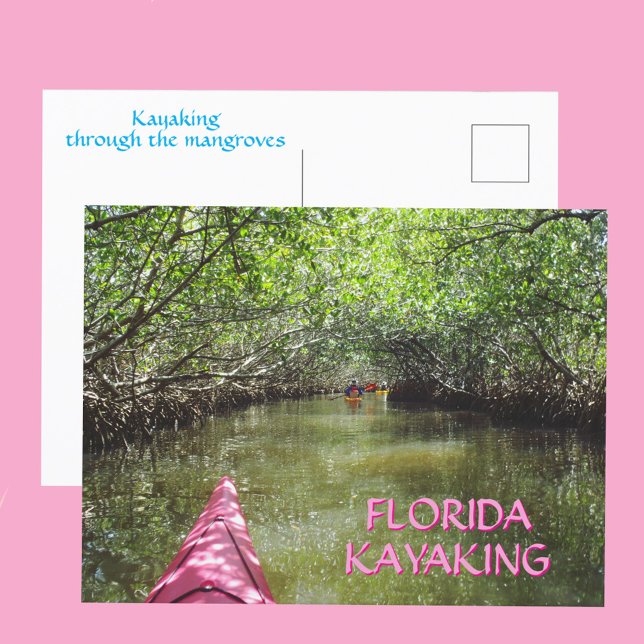 Kayaking Through the Mangroves Florida Adventure Postcard (Creator Uploaded)