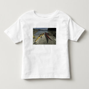 Kayaks on Dicebox Island, Broken Island Group, Toddler T-Shirt