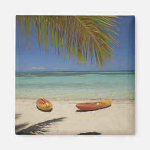 Kayaks on the beach, Plantation Island Resort 2 Magnet