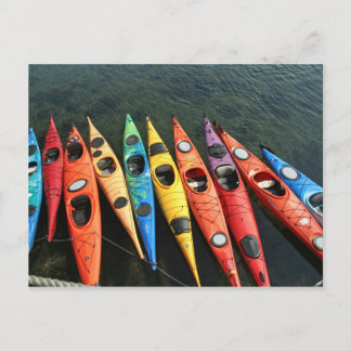 Kayaks! Postcard