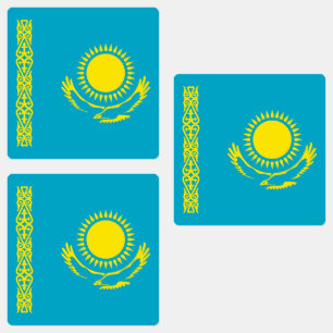 Kazakhstan Flag