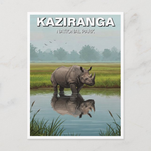 Kaziranga National Park Assam India Travel Postcard (Front)