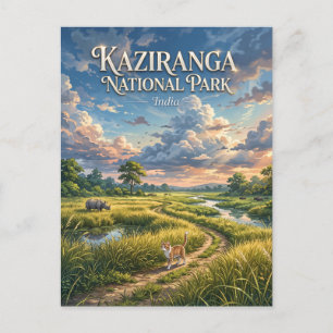 Kaziranga National Park India Postcard