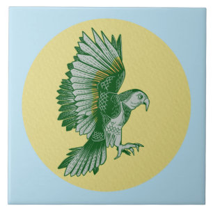 Kea New Zealand Bird Tile