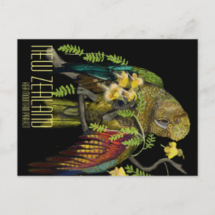 Kea New Zealand Mountain Parrot Postcard