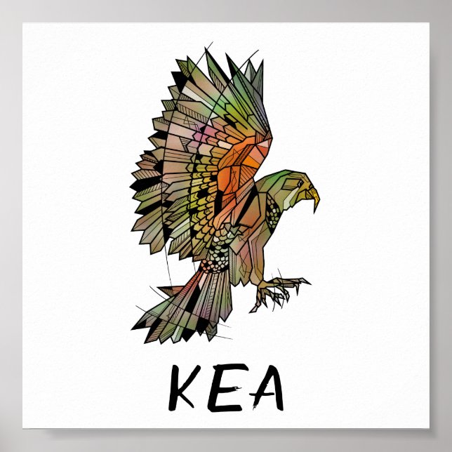 Kea new Zealand Native Bird Poster (Front)