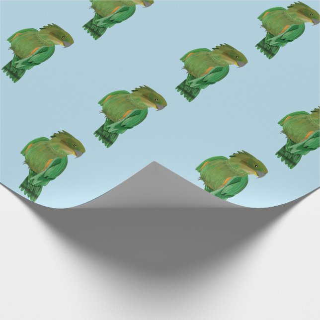 Kea NZ BIRD Wrapping Paper (Corner)