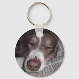 Keekster Key Ring