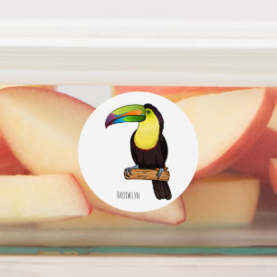 Keel-billed toucan bird cartoon illustration