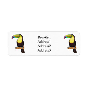 Keel-billed toucan bird cartoon illustration