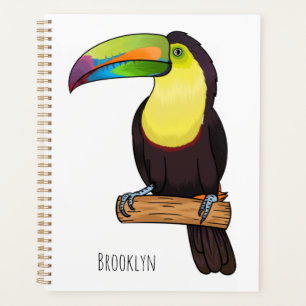 Keel-billed toucan bird cartoon illustration planner