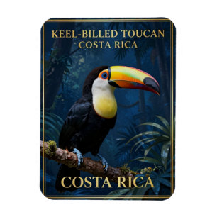 Keel-Billed Toucan Costa Rica Wildlife Magnet