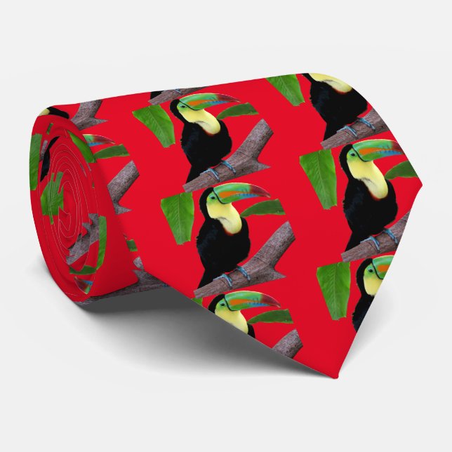 Keel-billed Toucan Tie (Rolled)
